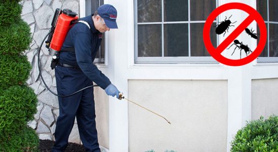 Keşan Gümüşkurt İlaçlama böcek ilaçlama ve haşere kontrolü — ilaclama-tr.com